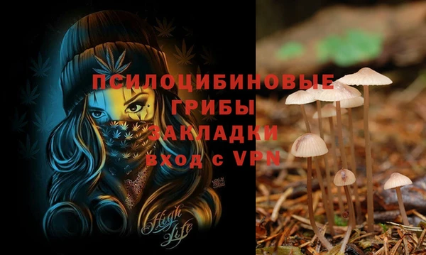дмт Валдай
