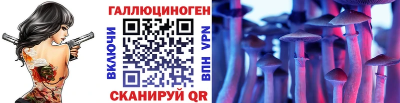 Псилоцибиновые грибы Cubensis  Дальнереченск 