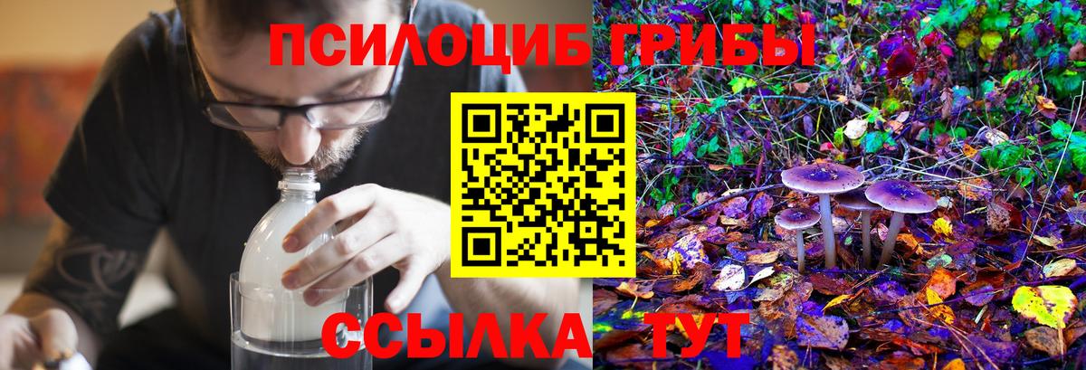 Дальнереченск  Псилоцибиновые грибы Psilocybe  Вход с VPN  Галлюциногенные грибы прущие грибы 