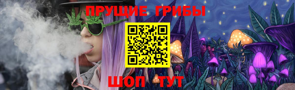 Псилоцибиновые грибы прущие грибы Дальнереченск
